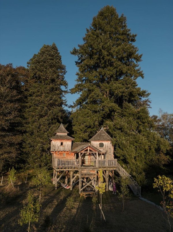 Castél de l'Arbre à Château de Memanat à Chavanat (13)
