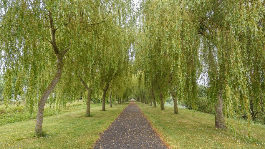 Domaine AbracadaRoom : Camping Seasonova Haliotis - Image 36