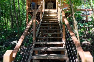 Cabane dans les arbres Guadeloupe