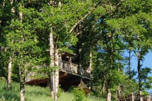 Cabane sur pilotis Puy-de-Dôme