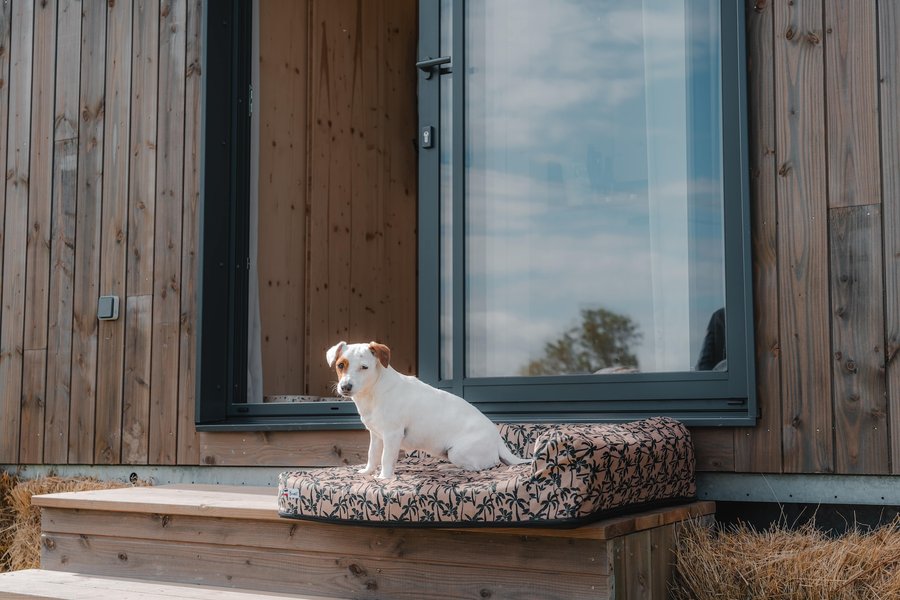 Domaine AbracadaRoom : Parcel Tiny House - proche Mont-Saint-Michel - Image 10