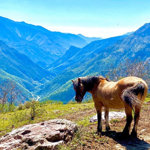 Domaine AbracadaRoom : Les 3 Flocons - Image 15