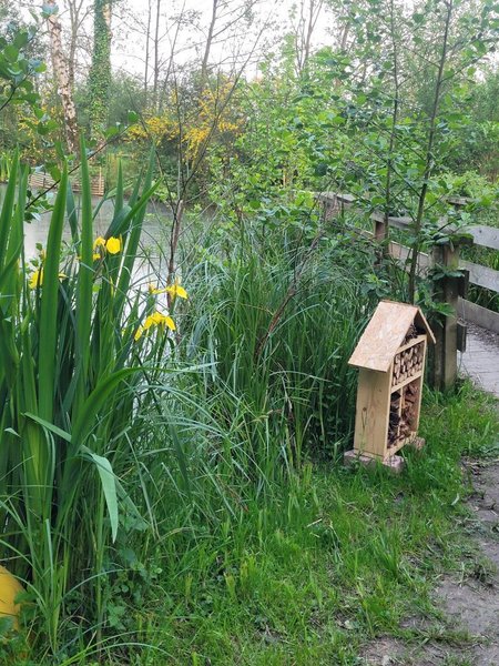 Domaine AbracadaRoom : Cabanes en thierache - Image 3