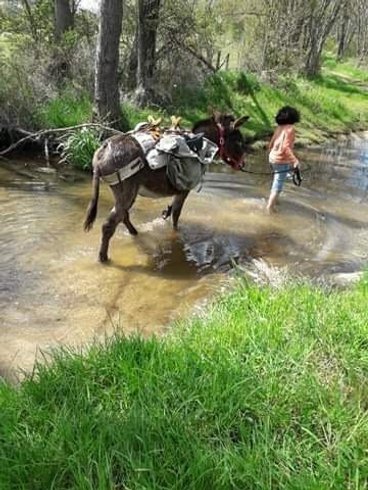 Hébergement AbracadaRoom : La roulotte - Image 9