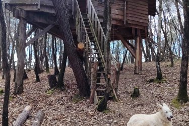 Cabane Murmure de Feuilles – Une parenthèse suspendue au cœur de la nature à Saint-Donat-Sur-L'herbasse (2)