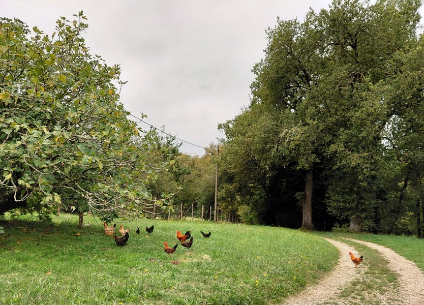 Domaine AbracadaRoom : Domaine Arcadia - Image 3