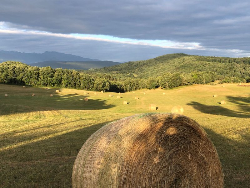 Hébergement AbracadaRoom : La Batteuse insolite des Pyrénées - Image 5