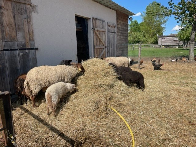 Domaine AbracadaRoom : La maison du bonheur  " roulotte" - Image 9