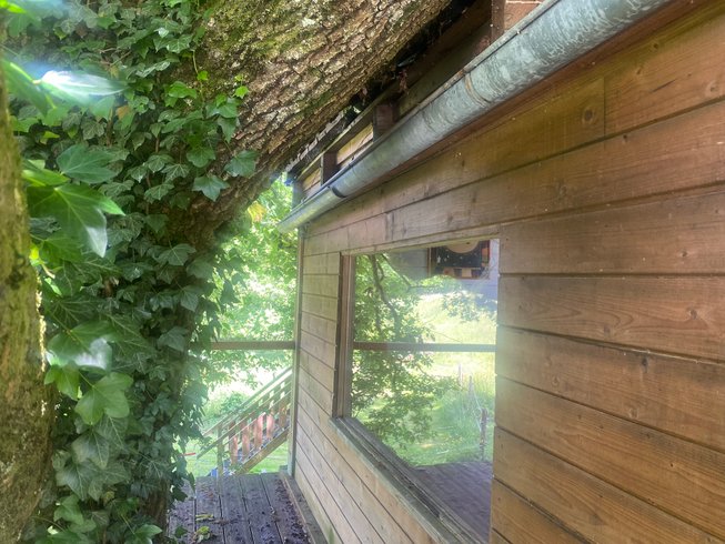 Domaine AbracadaRoom : Cabane dans le chêne tricentenaire - Image 7