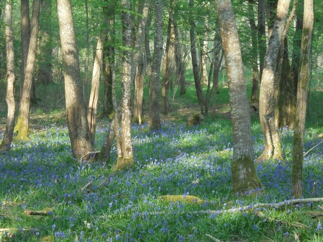 Hébergement AbracadaRoom : La Démaillère, Bain nordique & immersion - Image 12