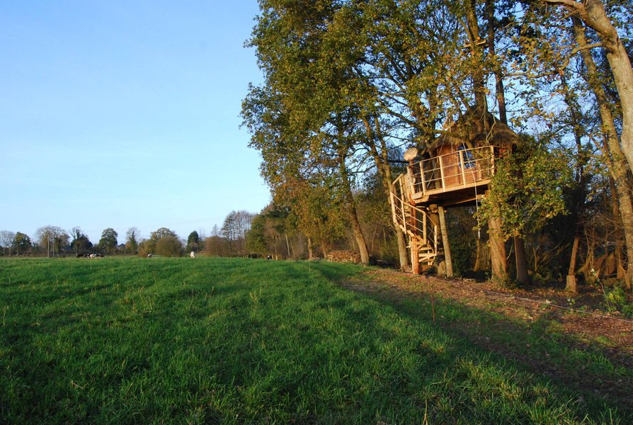 Hébergement AbracadaRoom : Cabane Butterfly - Image 7