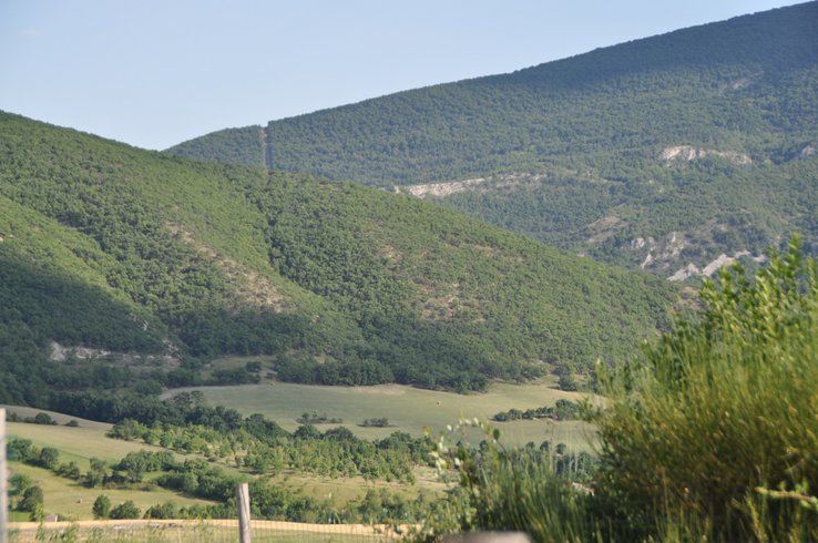 Domaine AbracadaRoom : La Tiny de Peggy - Image 5