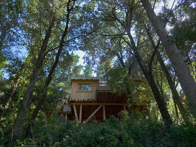 Hébergement AbracadaRoom : Cabane Tribu - Image 2