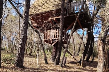 Cabane Nid d’Oiseaux - Un cocon perché qui danse avec le vent à Saint-Donat-Sur-L'herbasse (1)