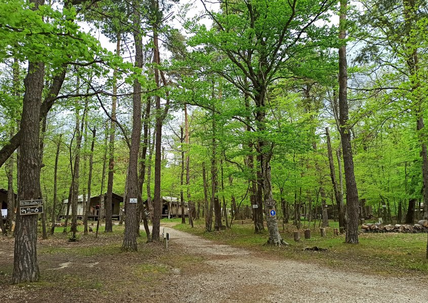 Domaine AbracadaRoom : L'Ermitage du Grand Bois - Image 13