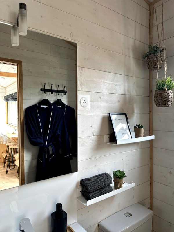 Tiny House Dolce Vita & Spa à Lafrancaise (7)