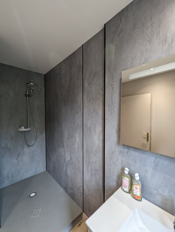 Chambre "Rêve de Tigre" à Parentignat (4)