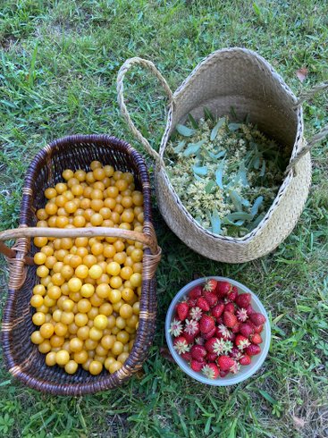 Domaine AbracadaRoom : Domaine de Bassilour - Image 15