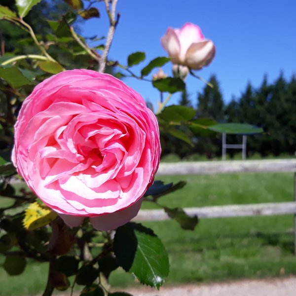 Domaine AbracadaRoom : Les Gravets - Image 9