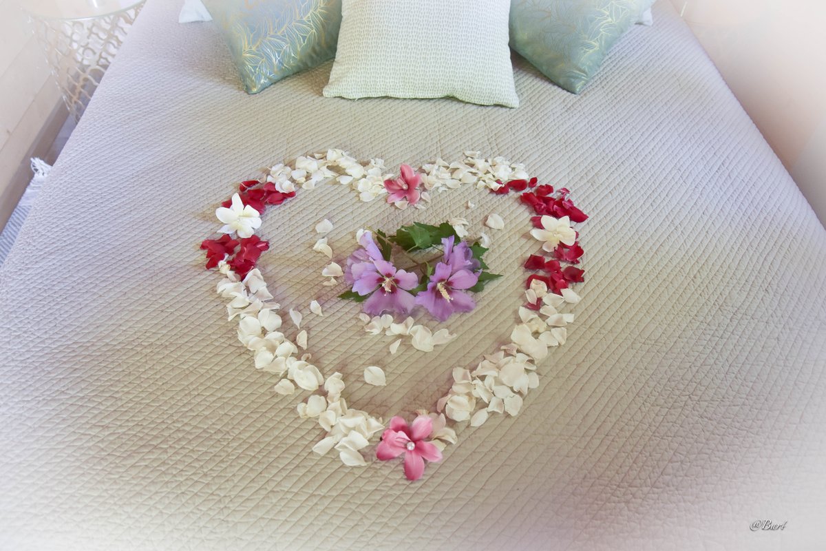 La Cabane Pêcheur de Lune & Spa à Lamonzie Saint Martin (10)