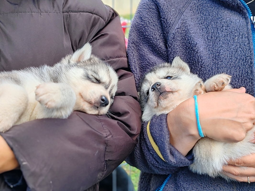Le Ranch Normand à Les Cresnays (12)