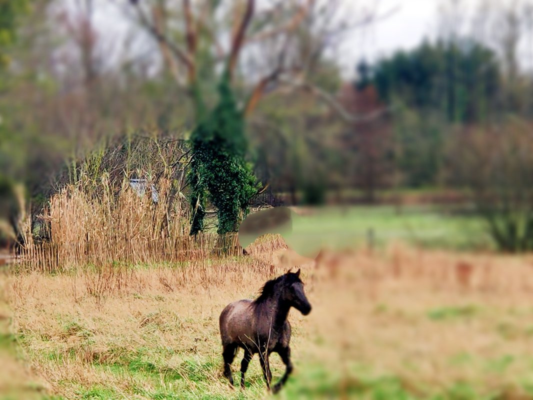 La Maisonnette de poupée avec cheminée, Vue Nature & Vélos à Epagne Epagnette (32)