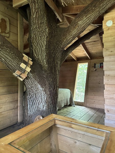 Hébergement AbracadaRoom : Cabane Hulotte - Image 6