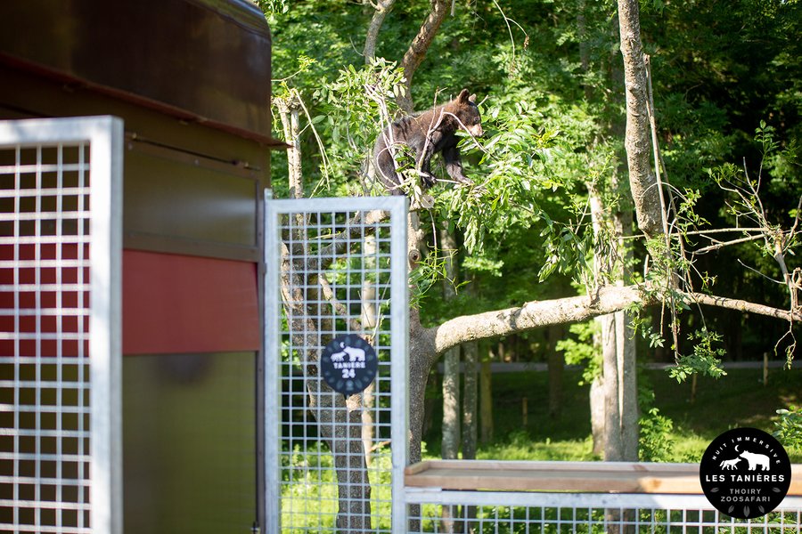 Domaine AbracadaRoom : Les Tanières de Thoiry - Image 4