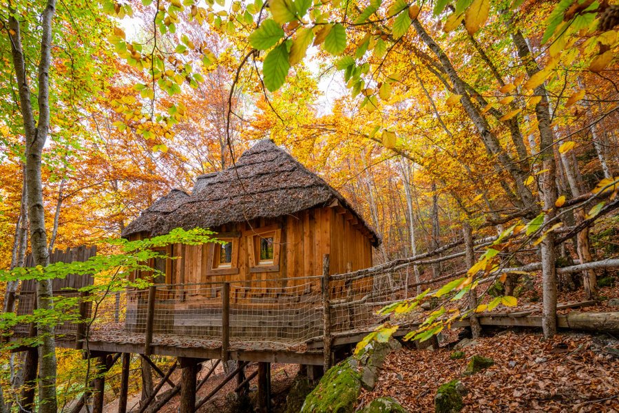 Hébergement AbracadaRoom : Cabane Spa Les Elfes - Image 3