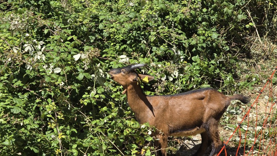 Domaine AbracadaRoom : Retour aux Sources - Image 10