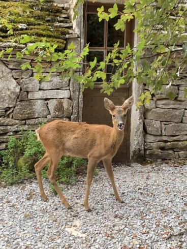 Hébergement AbracadaRoom : Cabane insolite avec spa privatif - Image 16