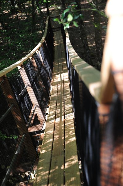 Hébergement AbracadaRoom : Girolles - Image 16