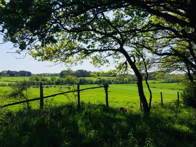 Domaine AbracadaRoom : Nuit Sauvage - Image 5