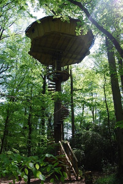 acces-escalier-canopee-cabane-belle