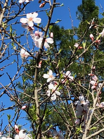 Domaine AbracadaRoom : La Cabane dans le Var - Image 6