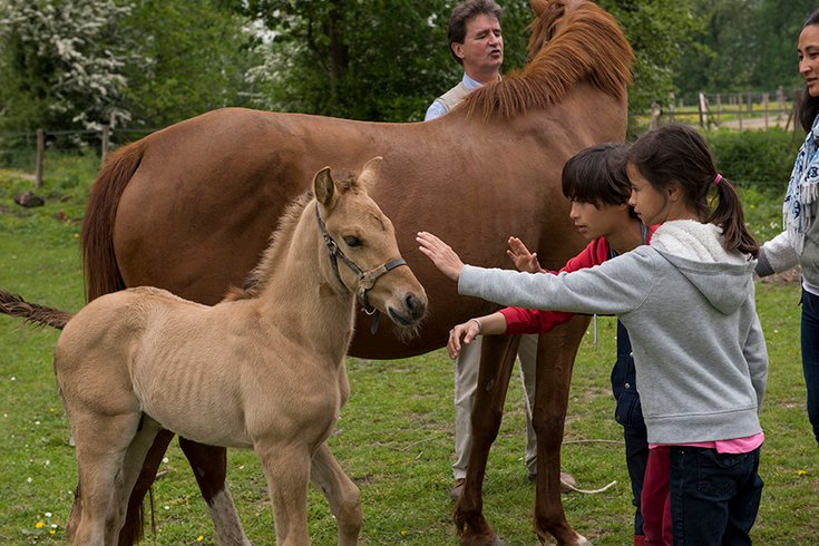 Hébergement AbracadaRoom : Roulotte 1 - Image 13