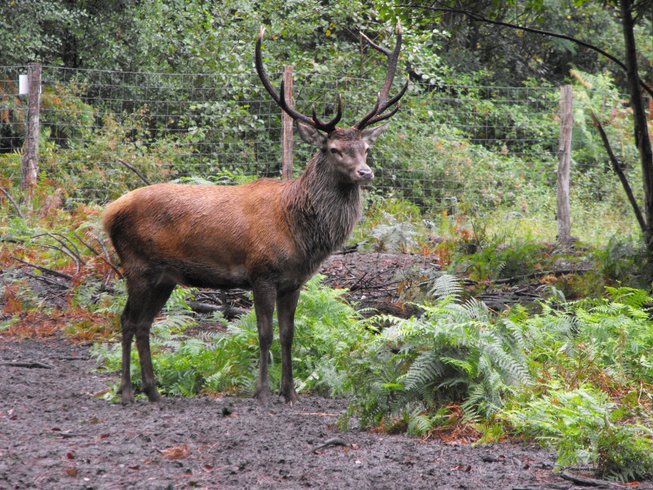 Domaine AbracadaRoom : La Ferme de l'Argenté - Image 1