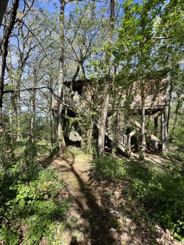 Hébergement AbracadaRoom : Cabane Perchée Jurassic - Image 26