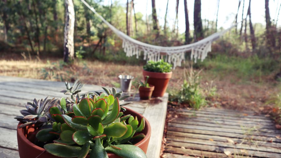 Hébergement AbracadaRoom : Tiny House Boho Océan - Image 20