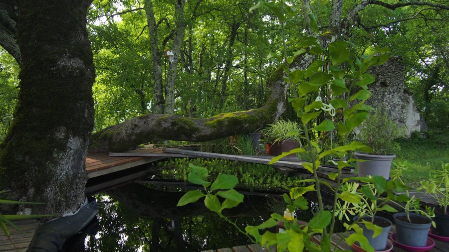 Domaine AbracadaRoom : Le pèlerin - Image 3