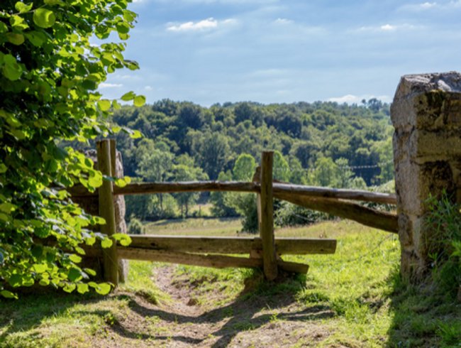 Domaine AbracadaRoom : Ferme des Ruats - Image 8