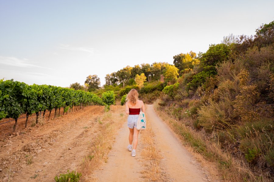 Domaine AbracadaRoom : Homnest (La Londe) - Image 12