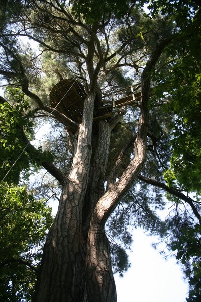 Hébergement AbracadaRoom : Cabane Cocon - Image 12