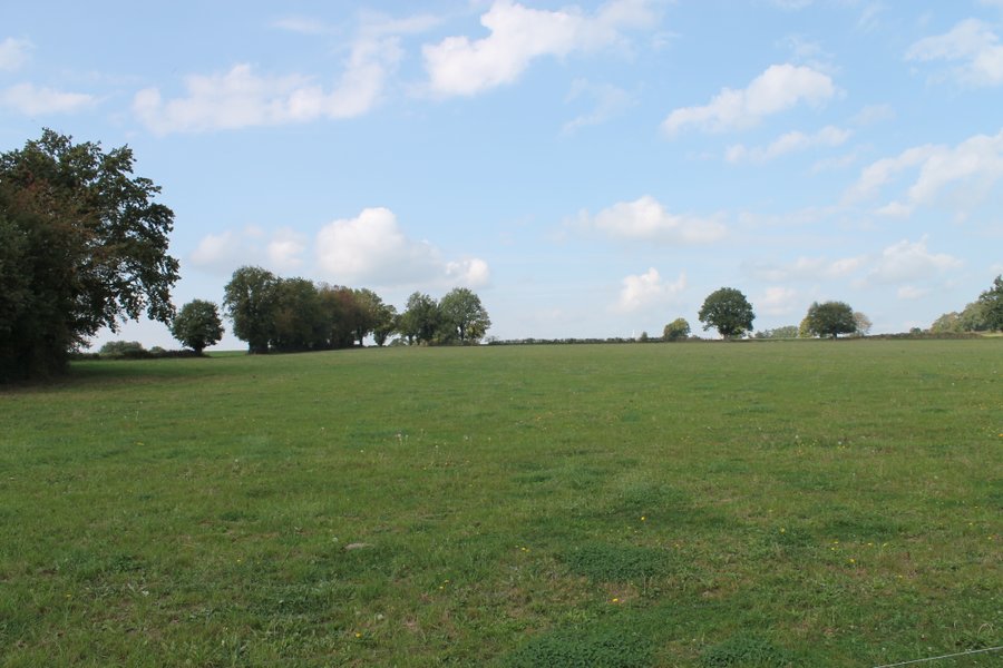 Domaine AbracadaRoom : Nuit à la Belle étoile - Image 6