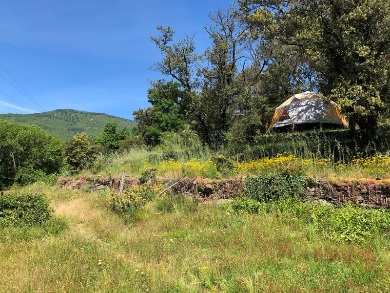 Hébergement AbracadaRoom : Le luxe champêtre d'un Géodôme en châtaignier - Image 6