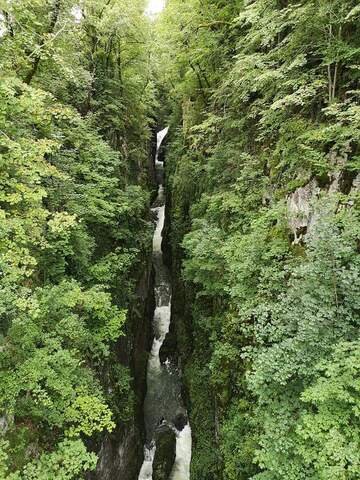 Hébergement AbracadaRoom : Les Logettes de Caroline, Ecolodge & Bain Nordique - Image 23