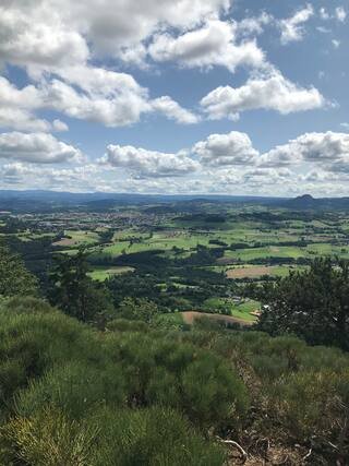 Hébergement AbracadaRoom : Roulotte Colibri - Image 17