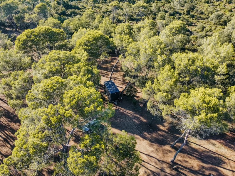 Domaine AbracadaRoom : Homnest (Le Luc) - Image 3