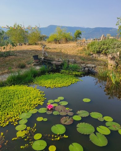 Domaine AbracadaRoom : Yourte Pyrénées - Image 3