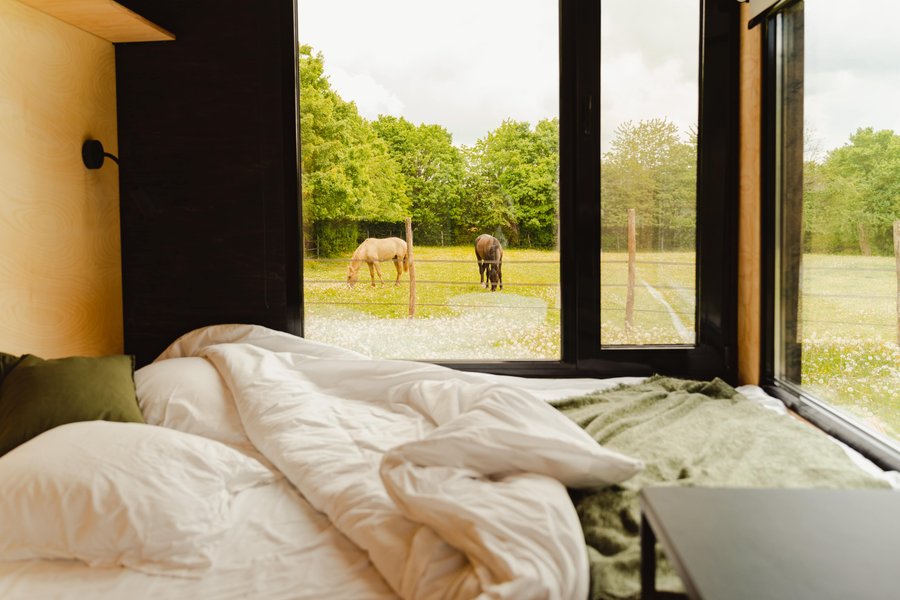 Hébergement AbracadaRoom : Parcel Tiny House- avec les chevaux dans le Perche - Image 3